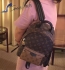 PALM SPRINGS BACKPACK M42411